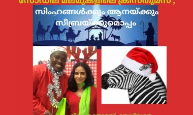 സോഡില മലമുകളിലെ ക്രിസ്തുമസ് , സിംഹങ്ങൾക്കും ആനയ്ക്കും സീബ്രയ്ക്കുമൊപ്പം