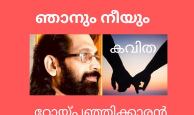 ഞാനും നീയും : കവിത , റോയ്പഞ്ഞിക്കാരൻ