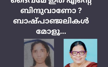 ദൈവമേ ഇത് എന്റെ ബിന്ദുവാണോ ? ബാഷ്പാഞ്ജലികൾ മോളൂ: സൂസൻ പാലാത്ര