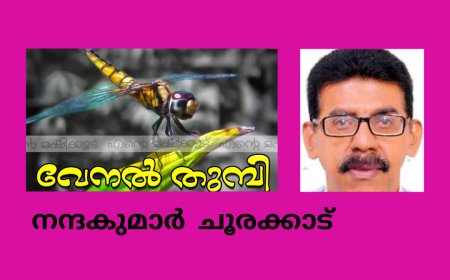 വേനല്തുമ്പി: കവിത,  നന്ദകുമാര് ചൂരക്കാട്