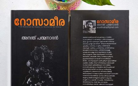 റോസാമീര എന്ന നോവലിൻ്റെ വായനാനുഭവം:  രമേഷ് പെരുമ്പിലാവ്