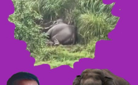 സഹ്യന്റെ പുത്രൻ:  കവിത , എം.തങ്കച്ചൻ ജോസഫ്
