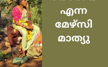 ദയാഭായ് എന്ന മേഴ്സി മാത്യു