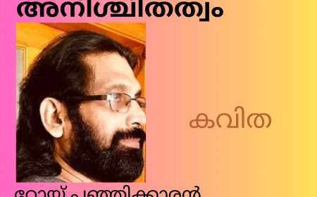 അനിശ്ചിതത്വം :കവിത , റോയ്‌ പഞ്ഞിക്കാരൻ