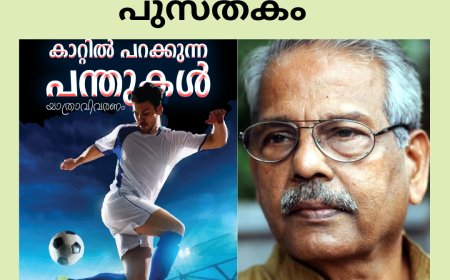 ഒരു ചെറിയ വലിയ പുസ്തകം : ബുക് റിവ്യൂ,  സി. രാധാകൃഷ്ണൻ