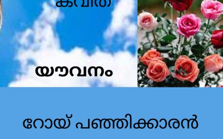 യൗവനം :  കവിത, റോയ് പഞ്ഞിക്കാരൻ