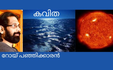 തലോടൽ : കവിത   , റോയ് പഞ്ഞിക്കാരൻ