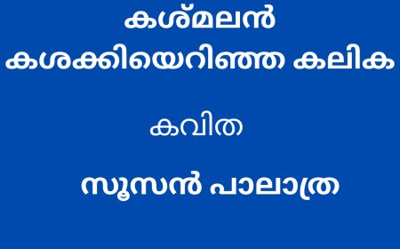 കശ്മലൻ കശക്കിയെറിഞ്ഞകലിക: സൂസൻ പാലാത്ര