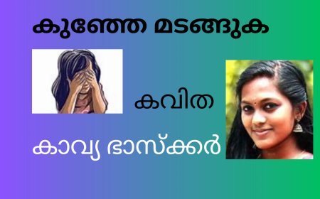 കുഞ്ഞേ മടങ്ങുക:    © കാവ്യ ഭാസ്ക്കർ