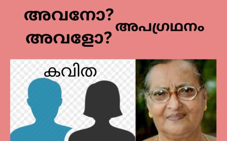അവനോ അവളോ - അപഗ്രഥനം : കവിത,   Mary Alex ( മണിയ )