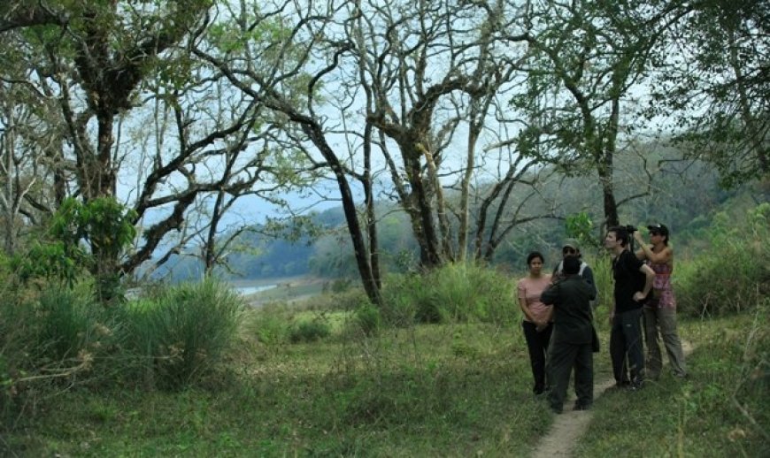 Forest watchers escape unhurt after Maoists open fire