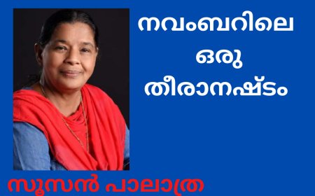 നവംബറിലെ ഒരു തീരാനഷ്ടം