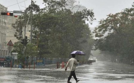 Heavy rainfall forecast; IMD issues red alert in Pathanamthitta district