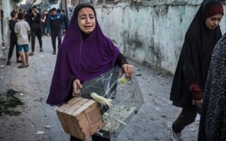 Hamas releases 12 Thai hostages as truce holds; Israel still waiting for its own ‘miracle’
