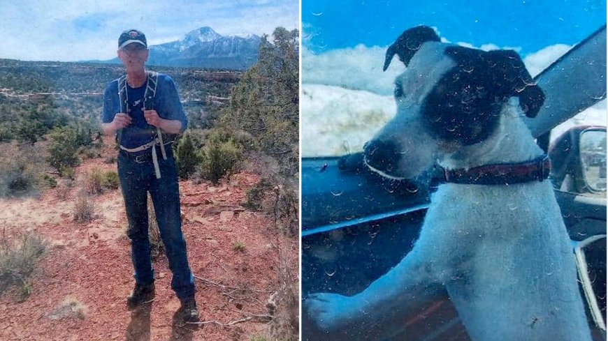 Dog survives 10 weeks in Colorado mountains beside dead owner