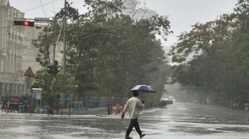 Heavy rainfall forecast; IMD issues red alert in Pathanamthitta district