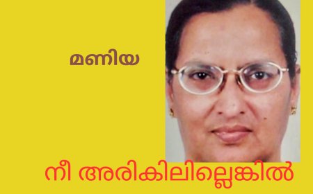 നീ അരികിലില്ലെങ്കിൽ: കവിത , Mary Alex ( മണിയ)