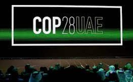 World's largest climate fund for vulnerable nations gets boost at COP28