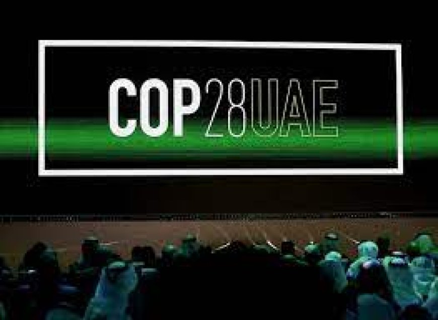 World's largest climate fund for vulnerable nations gets boost at COP28