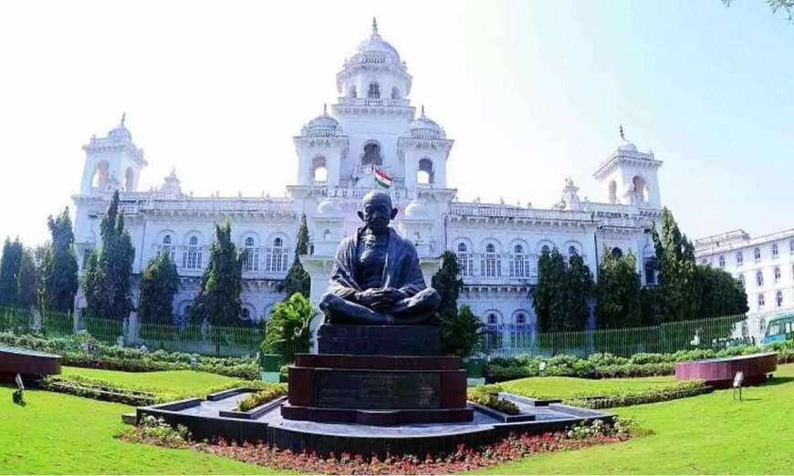 15 doctors in new Telangana Assembly, 3 of them orthopaedic surgeons