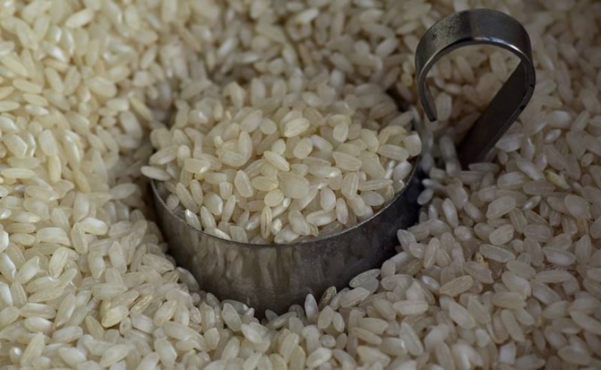 Fortified rice key to address malnutrition: Experts