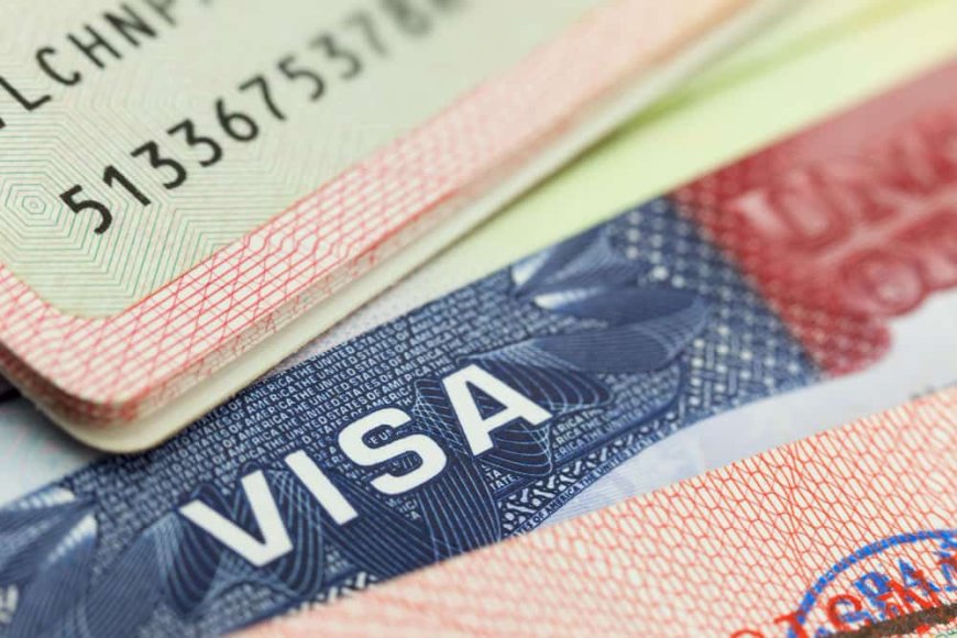 H-1B visa pilot program eligibility, dates and application details; open to only Indians, Canadians