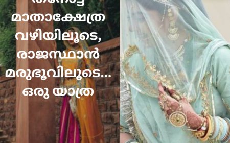 തനോട്ട് മാതാക്ഷേത്ര വഴിയിലൂടെ, രാജസ്ഥാൻ മരുഭൂവിലൂടെ... ഒരു യാത്ര: ശുഭ ബിജുകുമാർ