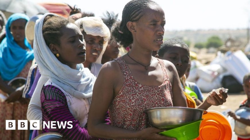 Ethiopia hunger: About 225 starve to death in Tigray - officials