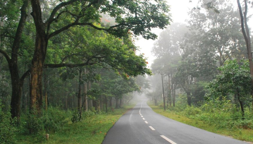 Bengaluru responds to Kerala’s plea on night traffic through Bandipur Tiger Reserve