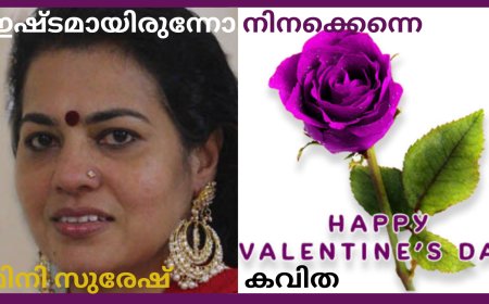 ഇഷ്ടമായിരുന്നോ നിനക്കെന്നെ: കവിത,  മിനി സുരേഷ്