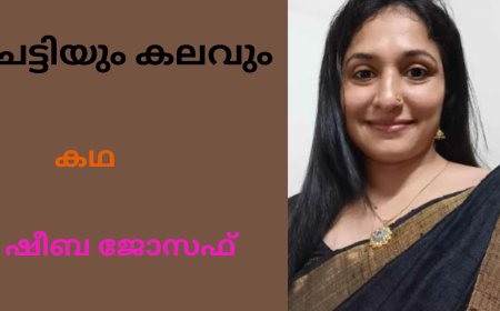 ചട്ടിയും കലവും: കഥ ,  ഷീബ ജോസഫ്