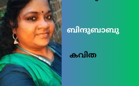 പോക്കുവെയിൽ:  കവിത, ബിന്ദുബാബു