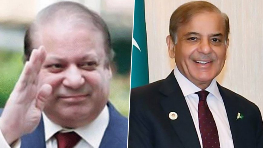 Sharif brothers secure win, PML(N) claims majority in National Assembly