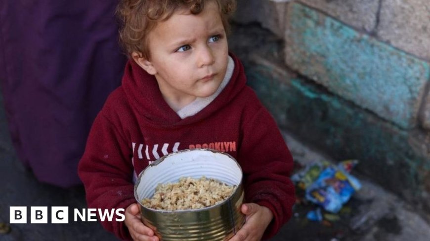 Gazans surviving off animal feed and rice as food dwindles
