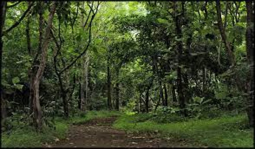 Gupteswar forest in Odisha declared as fourth Biodiversity Heritage Site in state