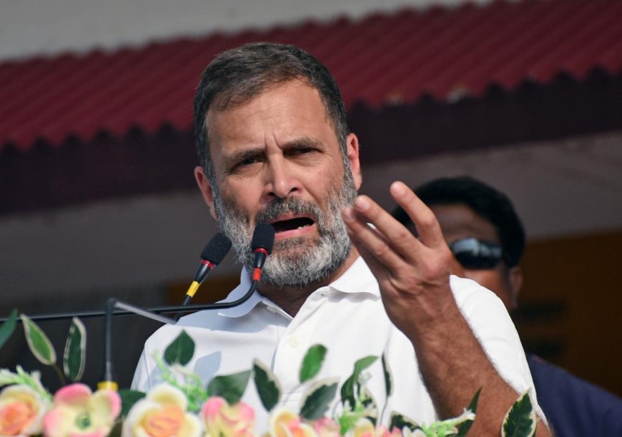 Rahul Gandhi, all sitting MPs on PCC list to high command