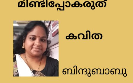 മിണ്ടിപ്പോകരുത്, കവിത : ബിന്ദുബാബു