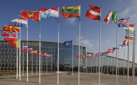 Europe and NATO in crisis