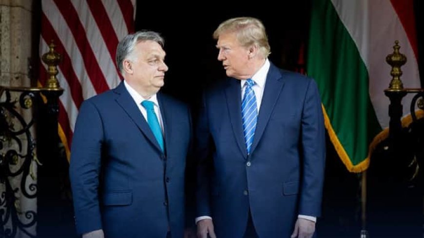Trump will not give a penny to Ukraine - Hungary PM Orban