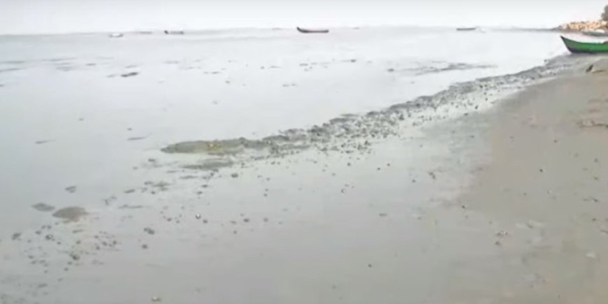 Sea water recedes in Alappuzha exposing seabed