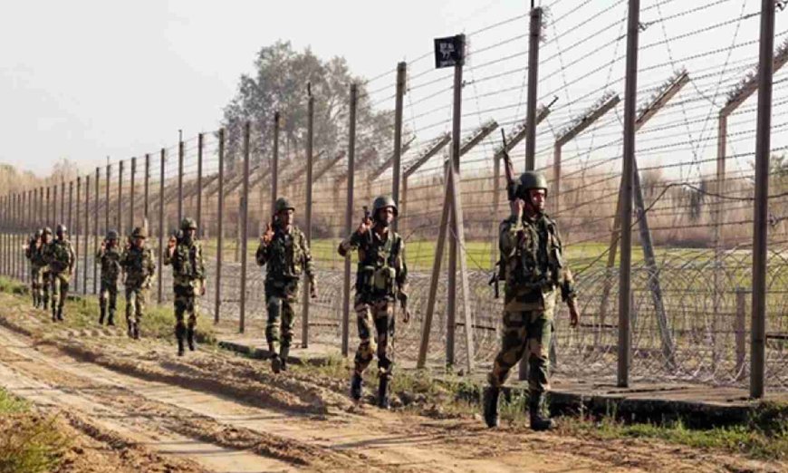 Pakistan slams Rajnath Singh's remarks on pursuing suspects across border