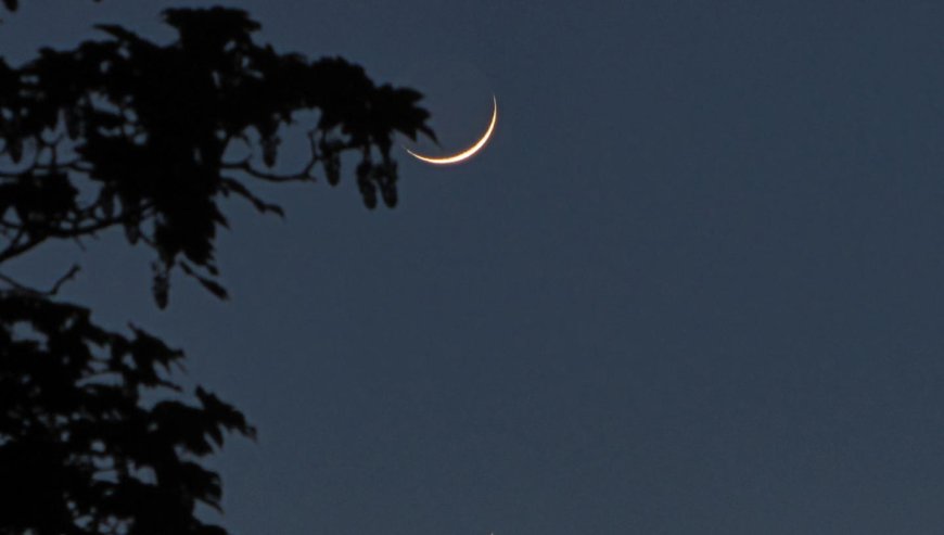 Moon sighted: Kerala to celebrate Eid on Wednesday