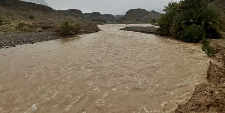Heavy rains kill 18 in Oman; flash floods lash UAE