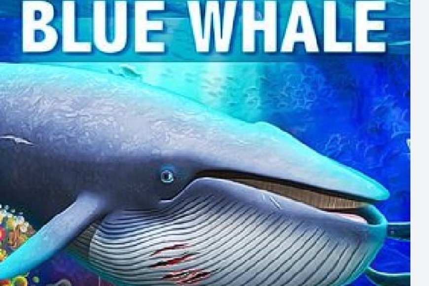 The deadly Blue Whale game that resulted in several deaths