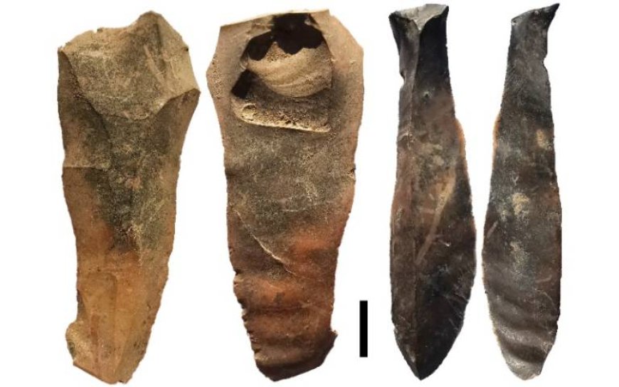 Ancient humans lived in E Timor 44,000 years ago, archaeologists find