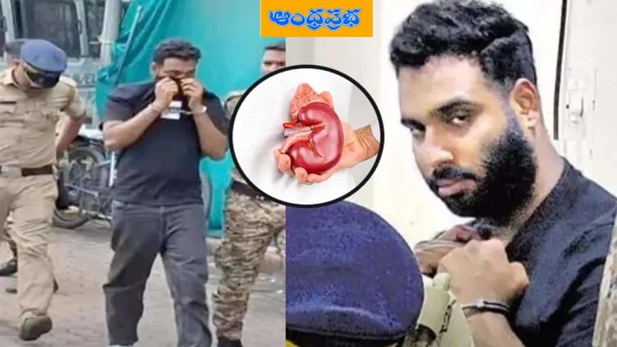 Kerala-TN joint probe in kidney racket