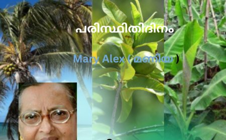 പരിസ്ഥിതിദിനം : കവിത , Mary Alex (മണിയ )