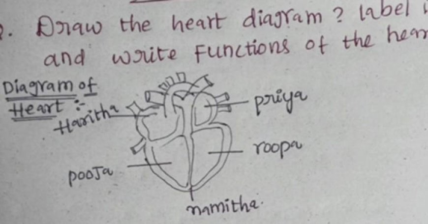 A student got ‘too honest’ with heart diagram, the internet can’t stop laughing: Viral video