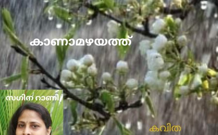 കാണാമഴയത്ത് : കവിത,  സഗിന റാണി