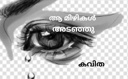 ആ മിഴികൾ അടഞ്ഞു: കവിത ,  Adv സുബൈദ ലത്തീഫ്
